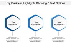 Key business highlights showing 3 text options