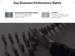 Key business performance ratios ppt powerpoint presentation layouts shapes cpb
