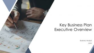 Key Business Plan Executive Overview PPT Structure AT