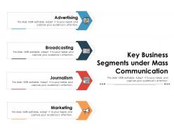 Key business segments under mass communication
