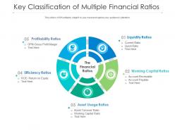 Key classification of multiple financial ratios