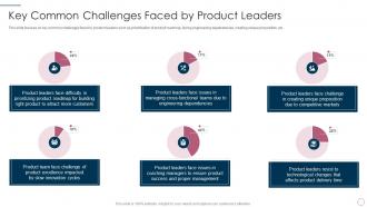 Key common challenges faced by it product management lifecycle ppt tips