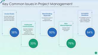 Key Common Issues In Project Management Establishing Plan For Successful Project