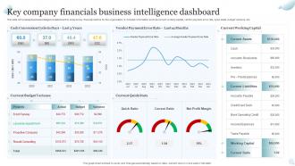 Key Company Financials Business Intelligence Dashboard