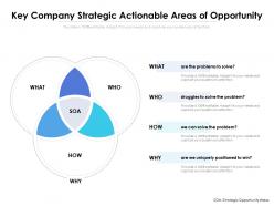 Key Company Strategic Actionable Areas Of Opportunity