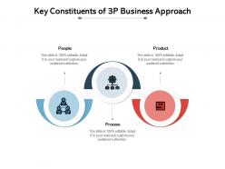 Key constituents of 3p business approach