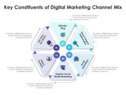 Key constituents of digital marketing channel mix
