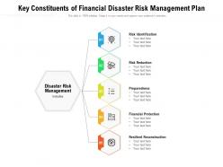 Key constituents of financial disaster risk management plan