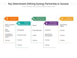 Key determinants defining synergy partnership to success