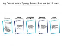 Key determinants of synergy process partnership to success