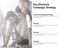 Key elements campaign strategy ppt powerpoint presentation show templates cpb
