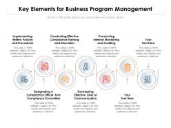 Key elements for business program management