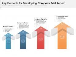 Key elements for developing company brief report