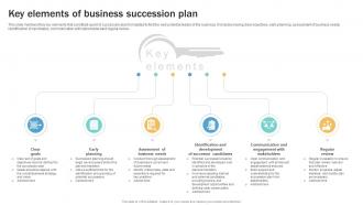 Key Elements Of Business Succession Plan Succession Planning Guide To Ensure Business Strategy SS