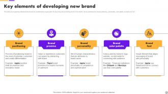 Key Elements Of Developing New Brand Brand Extension Strategy To Diversify Business Revenue MKT SS V