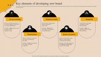 Key Elements Of Developing New Brand Market Branding Strategy For New Product Launch Mky SS