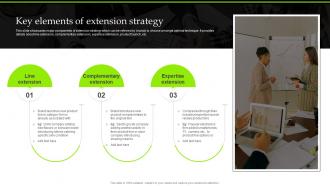 Key Elements Of Extension Strategy Introduction To Extension Strategy