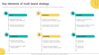 Key Elements Of Multi Brand Strategy Brand Architecture Strategy For Multiple