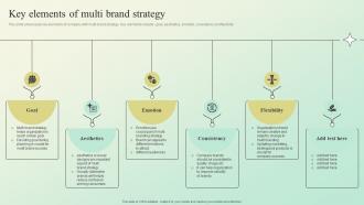 Key Elements Of Multi Brand Strategy Building A Brand Identity For Companies