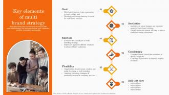 Key Elements Of Multi Brand Strategy Co Branding Strategy For Product Awareness