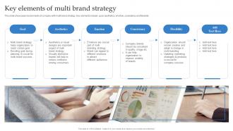Key Elements Of Multi Brand Strategy Formulating Strategy With Multiple Product Lines