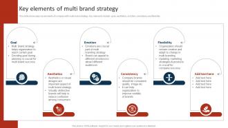 Key Elements Of Multi Brand Strategy Marketing Strategy To Promote Multiple