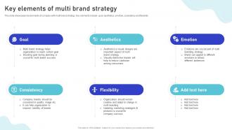 Key Elements Of Multi Brand Strategy Multiple Brands Launch Strategy In Target