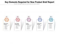Key elements required for new product brief report