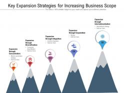 Key expansion strategies for increasing business scope