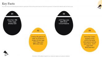 Key Facts Just Egg Investor Funding Elevator Pitch Deck