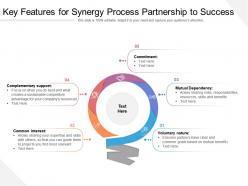 Key features for synergy process partnership to success