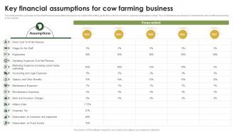 Key Financial Assumptions For Cow Farming Business Plan BP SS