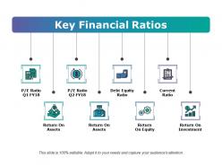 Key financial ratios ppt examples professional