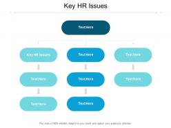 Key hr issues ppt powerpoint presentation styles graphics cpb