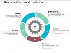 Key indicators brand protection ppt powerpoint presentation model icon cpb