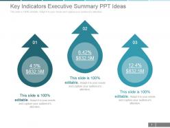 Key indicators executive summary ppt ideas