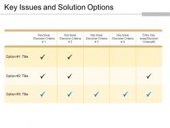 Key issues and solution options powerpoint slide introduction