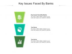 Key issues faced by banks ppt powerpoint presentation show maker cpb
