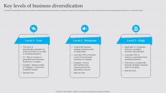 Key Levels Of Business Diversification Business Diversification Strategy To Generate Strategy SS V