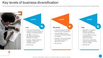 Key Levels Of Business Diversification Product Diversification Strategy SS V