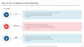 Key Levels Of Business Diversification Strategic Diversification To Reduce Strategy SS V
