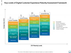 Key levels of digital customer experience maturity assessment framework