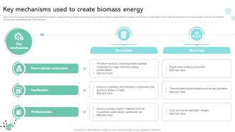 Key Mechanisms Used To Create Biomass Energy