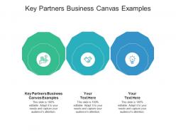 Key partners business canvas examples ppt powerpoint presentation gallery graphics tutorials cpb