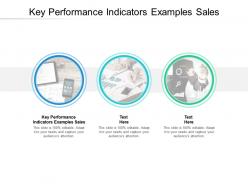 Key performance indicators examples sales ppt powerpoint presentation graphics example cpb