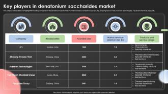Key Players In Denatonium Saccharides Market Ppt Slide