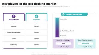 Key Players In The Pet Clothing Market Ppt Sample