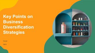 Key Points On Business Diversification Strategies PPT Mockup AT