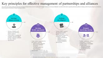 Key Principles For Effective Management Of Partnerships And Alliances