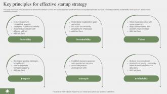 Key Principles For Effective Startup Strategy
